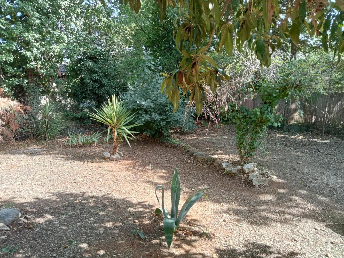 Bas De Villa Au Chant Des Cigales Lorgues Dış mekan fotoğraf