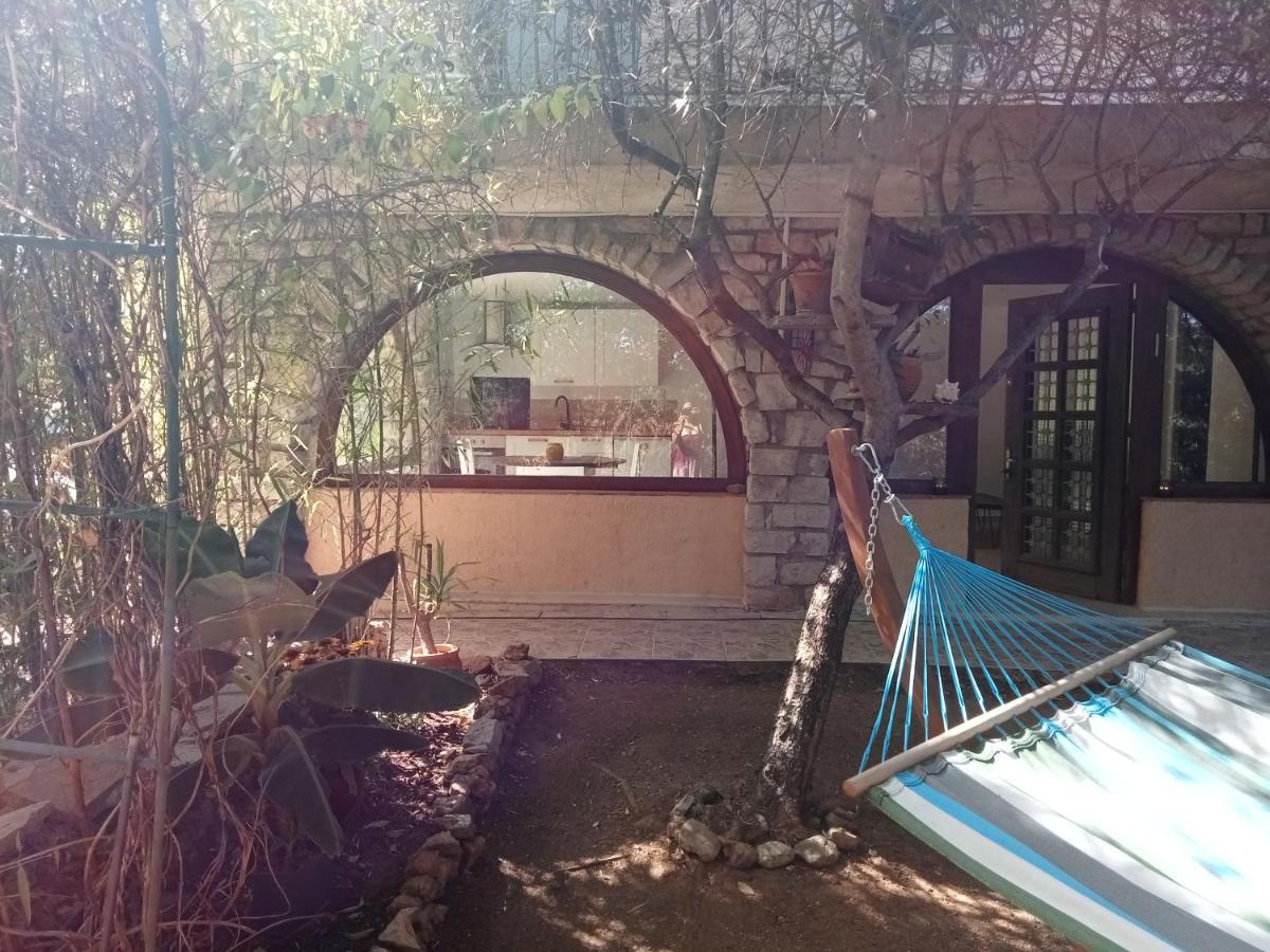 Bas De Villa Au Chant Des Cigales Lorgues Dış mekan fotoğraf