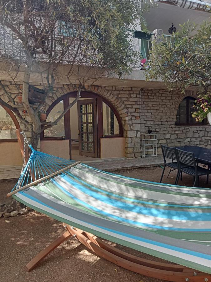 Bas De Villa Au Chant Des Cigales Lorgues Dış mekan fotoğraf