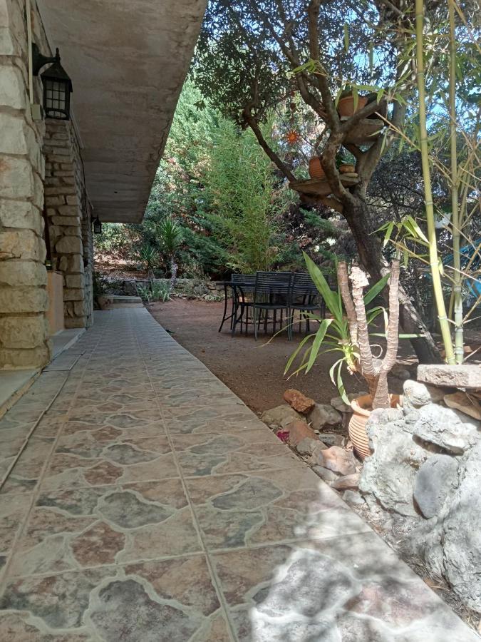 Bas De Villa Au Chant Des Cigales Lorgues Dış mekan fotoğraf